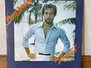 RARE Bruce Sheinbart Who Do You Think You're Fooling LP Vinyl Soul Private Press