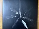 Caspian - Dust And Disquiet (2 Discs, Colored Vinyl, LP)
