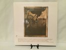 Pixies: Surfer Rosa 2004 4AD Records Europe Import 12'' Vinyl Reissue CAD 803