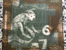 Pixies - Doolittle - 1989 Vinyl LP - CAD 905