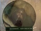 Sky Ferreira Night Time, My Time Limited RSD Picture Disc Vinyl /800