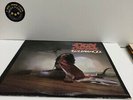 Ozzy Osbourne   Blizzard Of Ozz   Jet, JZ 36812, LP, US, 1981, VG+ (MGP002523)