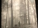 Taylor Swift folklore “in the trees” Limited Edition Deluxe Beige Vinyl LP