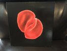 Peter Gabriel, Scratch My Back LP