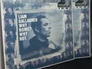 2×LP LIAM GALLAGHER - WHY ROME? WHY NOT. VINYL MARBLED E GOLD - COPIE N°033/167