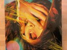 The Flaming Lips - Embryonic - Vinyl Record LP