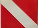 Van Halen - Diver Down - 1982 - Vinyl Record LP