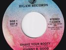 JOHNNY B. GOOD Shake Your Booty UNKNOWN RARE boogie 45 modern soul blues LISTEN