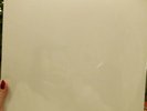 The beatles white album vinyl