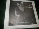 Bruce Springsteen Fire/ Paradise By Sea ps 45-Marble Color+2 PS 45s-Fade Away+