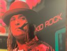 Kid Rock  Devil Without A Cause  180g 2016 release, 2LP