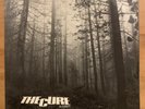 THE CURE -A Forest-  Rare UK 12