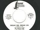 SWEET SOUL/FUNK  45  Ice Water Slim  Hawk Sound 1001  *promo*