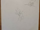 MOTORHEAD SIGNED ORGASMATRON LP TEST PRESSING Lemmy/Wurzel vinyl VG.