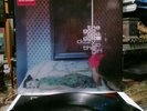 the goo goo dolls dizzy up the girl Vinyl Lp