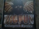 BIG PUN - ENDANGERED SPECIES (2001), 2LP VINYL, SEALED/ (NSM) CONDITION