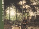 Horace Andy - Skylarking - Melankolic LP 1996