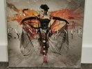 Evanescence Synthesis Vinyl Record