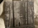 Taylor Swift  folklore LP “In The Trees” Limited Deluxe Edition Vinyl NEW SEALED