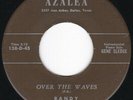Echoey Swamp TX Instrumental RANDY & THE ROCKETS Over the Waves 45 Azalea HEAR