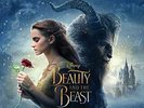 Beauty And The Beast: The Songs - Various Artists - Blue Vinyl (VG)