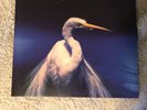 Faith No More Angel Dust Vinyl