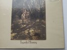 VAN MORRISON TUPELO HONEY   WS1950    P 1971