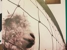 Pearl Jam Vs Remastered 180 Gram Vinyl Epic 2011 Double Record Brand New Sealed