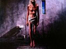 Megadeth ?– Countdown To Extinction lp vinyl first press
