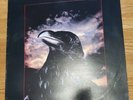STRANGLERS Vinyl LP The Raven UAC 5024 1980 Australia EX/VG+