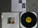 Anal Cunt Picnic of Love LP, Limited Appeal version, hand numbered rare AxCx AC