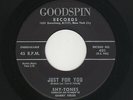 '60 R&R/White DooWop/Teen SHY-TONES Just For You/A Lover's Quarrel GOODSPIN HEAR
