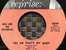 Hale and the Hushabyes 45 - Yes Sir That's My Baby / Jacks Theme - Reprise Stock
