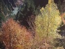 POLE - Wald - Vinyl (LP + 1-sided LP + MP3 download code)