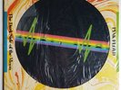 Pink Floyd The Dark Side Of The Moon Picture Disc Record Sealed SEAX-11902