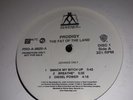 Prodigy*- The Fat Of The Land 2x vinyl