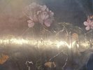 LP SPINETTA A 18 MINUTOS DEL SOL 1977 ARGENTINA CBS 119773 INCLUDES INSERT