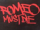 Aaliyah Romeo Must Die “Try Again” Promo 2000 Blackground Records