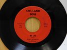 Ernest Franklin and Group soul 45 My Life bw At Last on Chi Land Soul