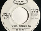 * INTIMATES I've Got Tiger In My Tank HOT ROD SURF Pre-VU LOU REED Epic 45 Hear