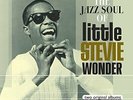 Little Stevie Wonder - Tribute to Uncle Ray / The Jazz Soul of Little