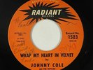 Doo-Wop 45 - Johnny Cole & Reptiles - Wrap My Heart In Velvet - Radiant - mp3