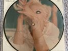 Madonna Vinyl Limited Ed, Numbered Picture Disc Take a Bow/Bedtime Stories NEW