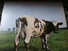 Pink Floyd - Atom Heart Mother Vinyl LP