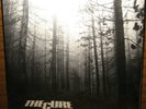 The Cure A FOREST 12” Single UK 1980 Original UNIQUELY RARE See Sleeve