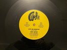 True Image 12 inch, Keep Me Dancing rare disco funk boogie ORIGINAL  Willkerr