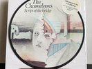 The Chameleons ?: Script Of The Bridge (Picture Disc) UK Statik 1985 Mint