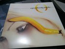 A Perfect Circle Thirteenth Step Double Vinyl LP