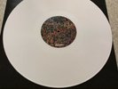 Andrew Jackson Jihad signed LP AJJ Against Me Days N Daze