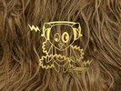 Super Furry Animals At The Bbc VINYL NEW